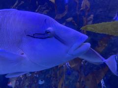 -太平洋海底世界