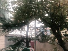 -中国福利会少年宫