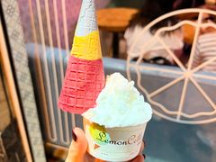 -柠檬车露(卖草地店)