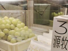 -喜茶(广州北京路惠福东店)