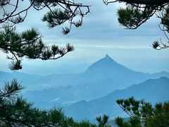 -妙道山国家森林公园