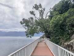 -南诏风情岛