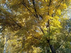 -长春市南湖公园