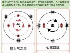 -华夏良子·足道SPA艾灸(龙潭路店)