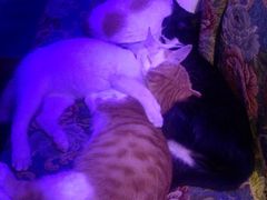 -星宿秘码(鼓浪屿老店)