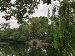 -桂湖森林公园