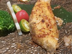 -鸟鹏烧鸟居酒屋(熙龙湾店)