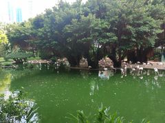 -九龙公园
