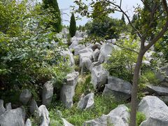 -原山国家森林公园