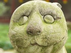 -天一阁博物院