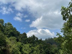 -火炉山森林公园