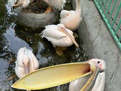 -水上乐园·欢乐世界