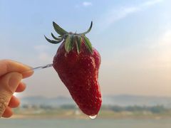 -小南海站