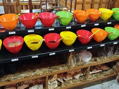 -果松木炭酸菜铜火锅·外婆参鸡汤