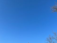 -旅顺博物馆