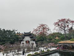 -宝墨园景区