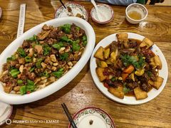 -柴窝堡22号辣子鸡·传承新疆菜