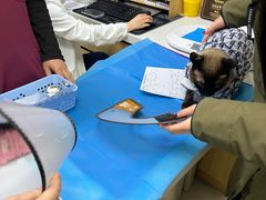 -美联众合动物医院·24h京西诊疗中心