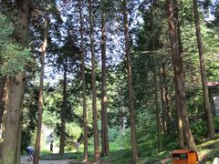-庐山风景区花径公园