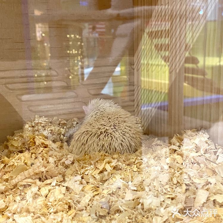 嘉兴探店｜合乐城“遇见萌宠”