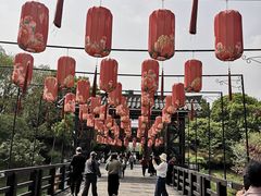 -合肥三国新城遗址公园