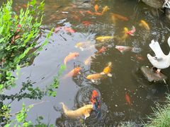 -竹泉村旅游度假区