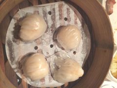 虾饺-苏浙汇(朝外店)