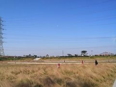 -王借岗森林公园