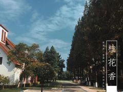 -太阳岛度假酒店