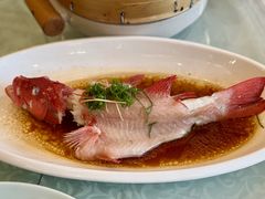 -庄隐阁(悠方广场店)