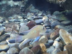 -锦艺城海洋馆