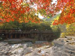 -关门山森林公园