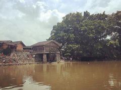 -福建土楼（华安）旅游区•大地土楼群