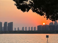 -天鹅湖体育公园