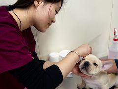 -美联众合动物医院·24h京西诊疗中心