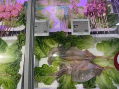 -盒马鲜生(双清路店)