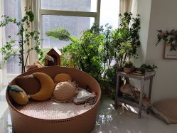 -Baby Pastel 自然光儿童摄影(CBD店)