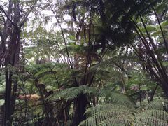 -夏威夷火山国家公园