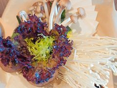菌菇拼盘-煲宫猪肚鸡(晶品店)