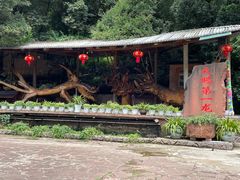 -昆明青龙峡风景区