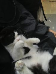 -和良形象
