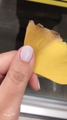 -RL Nail·瑞丽美甲美睫品牌原创店