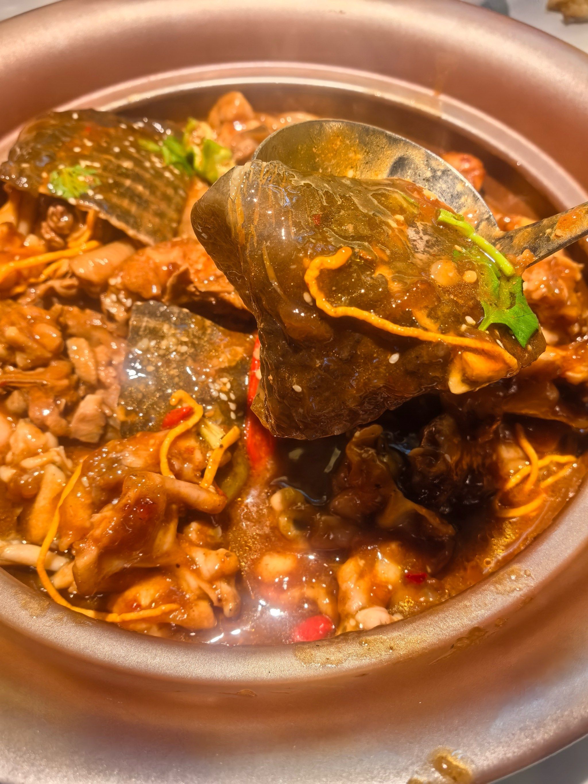 今天尝了这道鲜活甲鱼牛鞭牛蛋鸡腰煲,真的