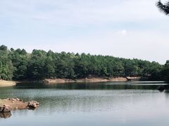 -南京市无想山景区