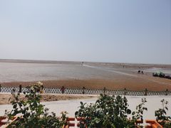 -刘家湾赶海园