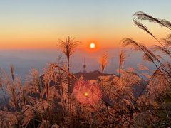 -梧桐山风景名胜区