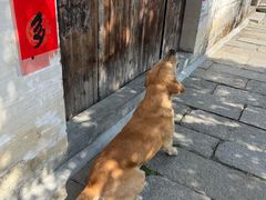 -绩溪龙川景区