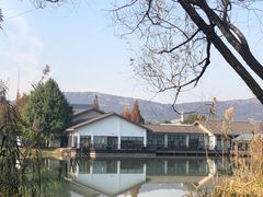 -长广溪湿地公园