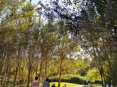 -长春公园(普阳街道)