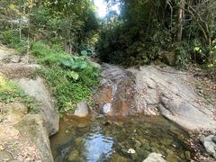 -火炉山森林公园